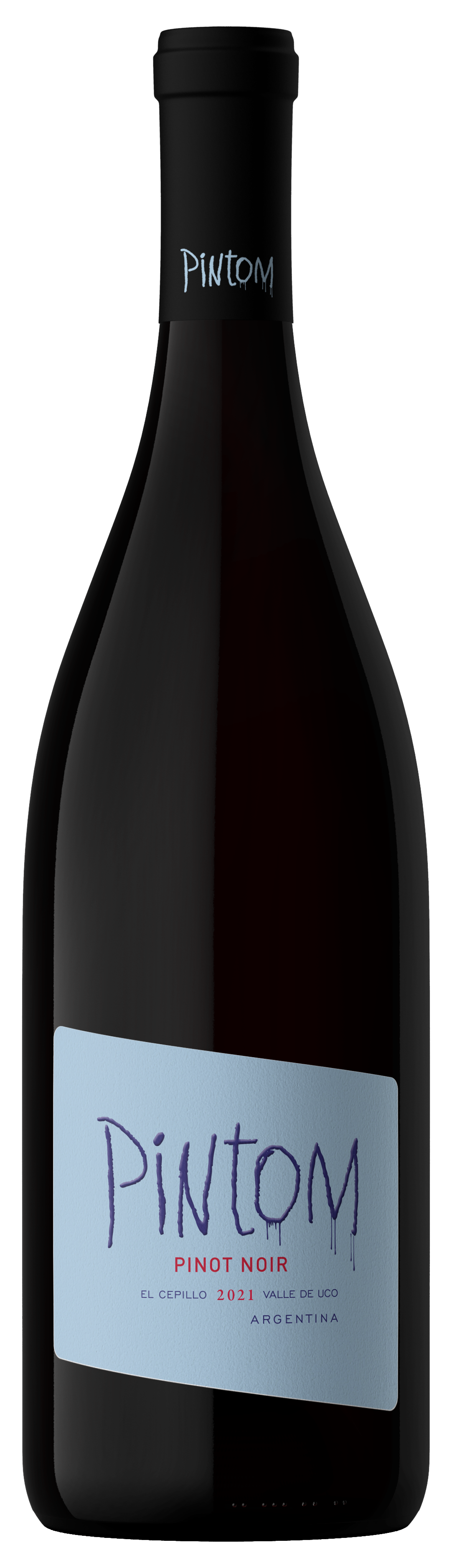 pintom_2021